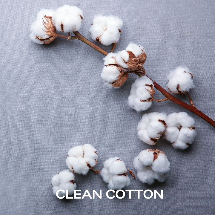 Clean Cotton Fragrance Oil -  UK