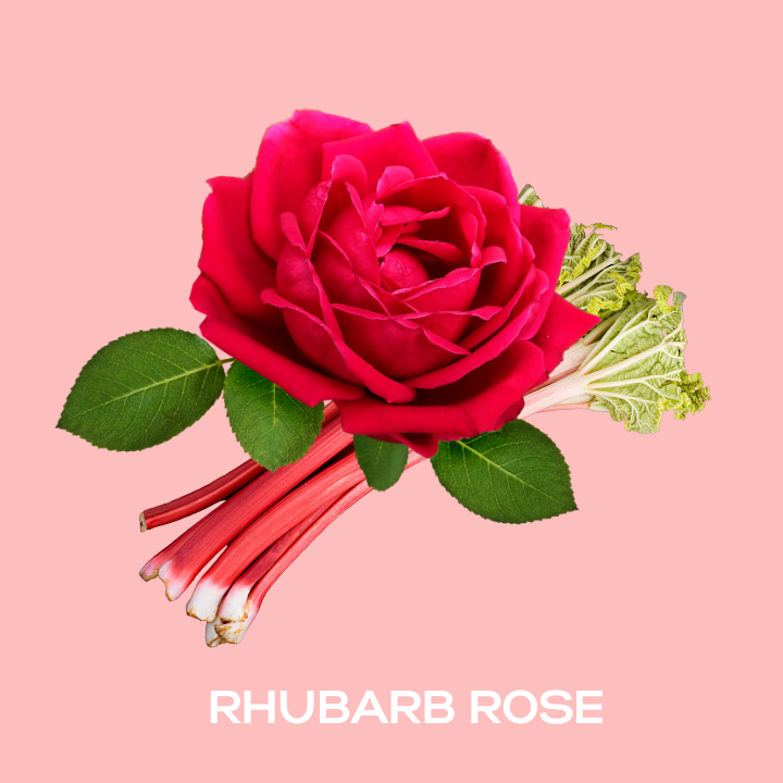 Rhubarb & Rose Fragrance Oil