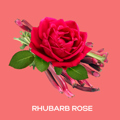 Rhubarb & Rose Fragrance Oil