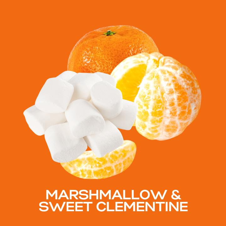 Marshmallow & Sweet Clementine Fragrance Oil Craftastik