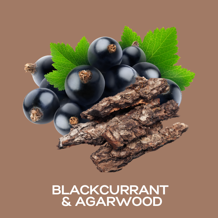 Blackcurrant & Agarwood Fragrance Oil