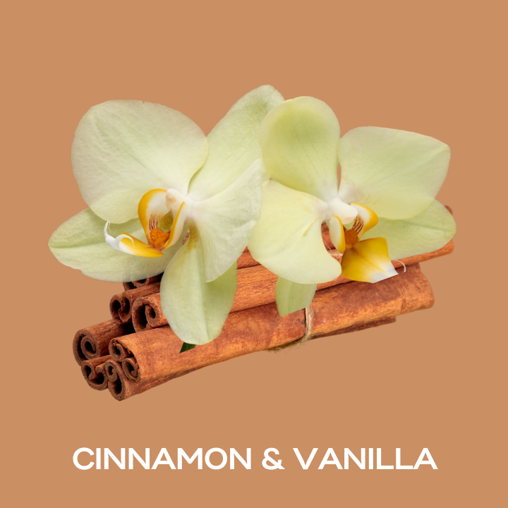 Cinnamon & Vanilla Fragrance Oil