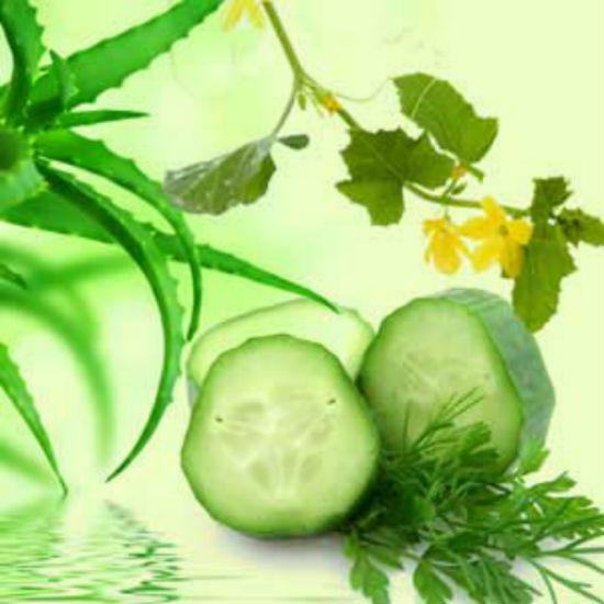 Aloe Vera & Cucumber Fragrance Oil – Craftastik