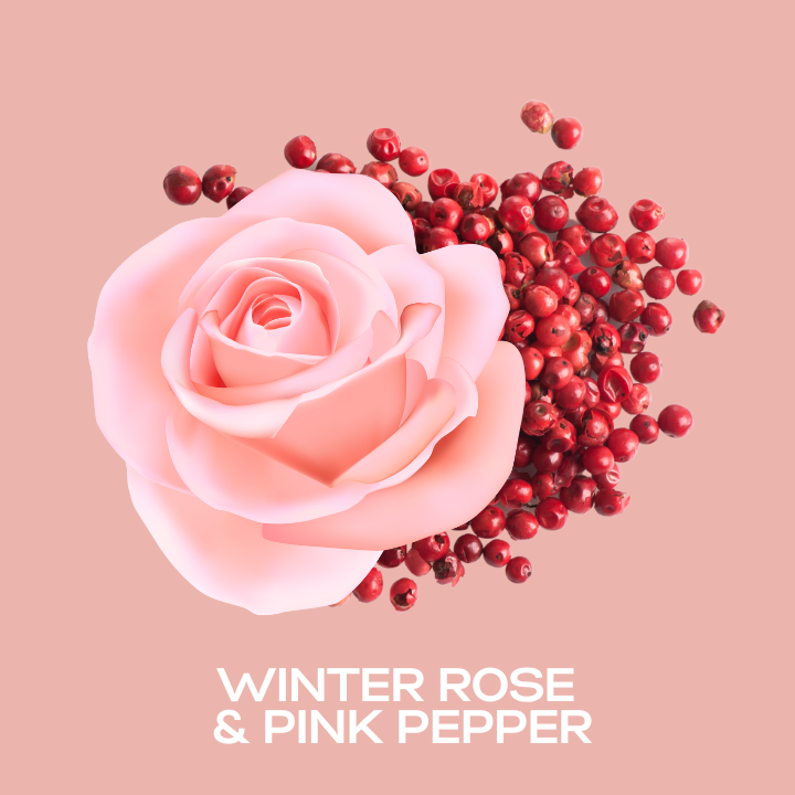 Winter Rose & Pink Pepper Fragrance Oil