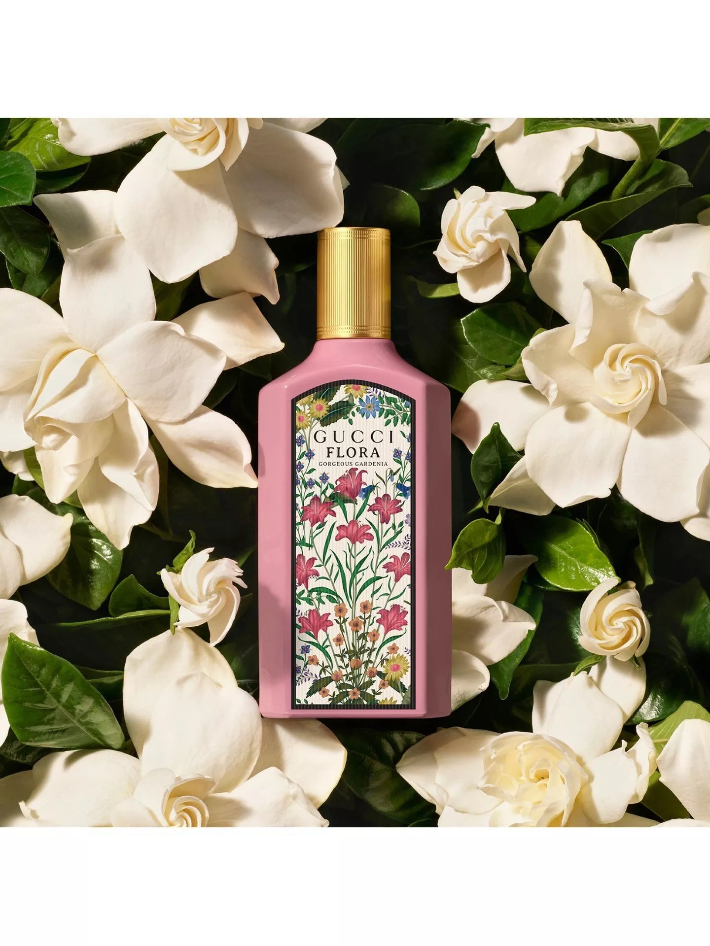 Gorgeous Gardenia Fragrance Oil – Craftastik