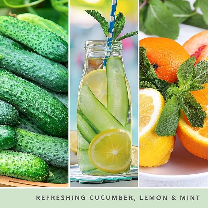 Cucumber Mint YANK Fragrance Oil – Craftastik