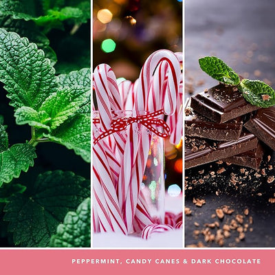 Peppermint Pinwheels YANK Fragrance Oil