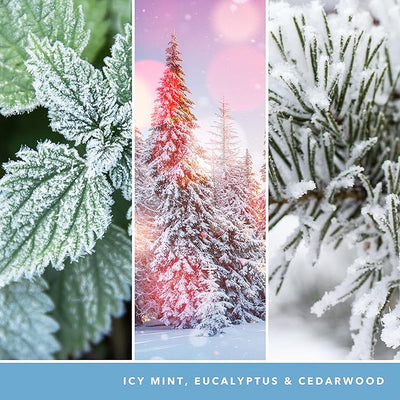 Snowglobe Wonderland YANK Fragrance Oil