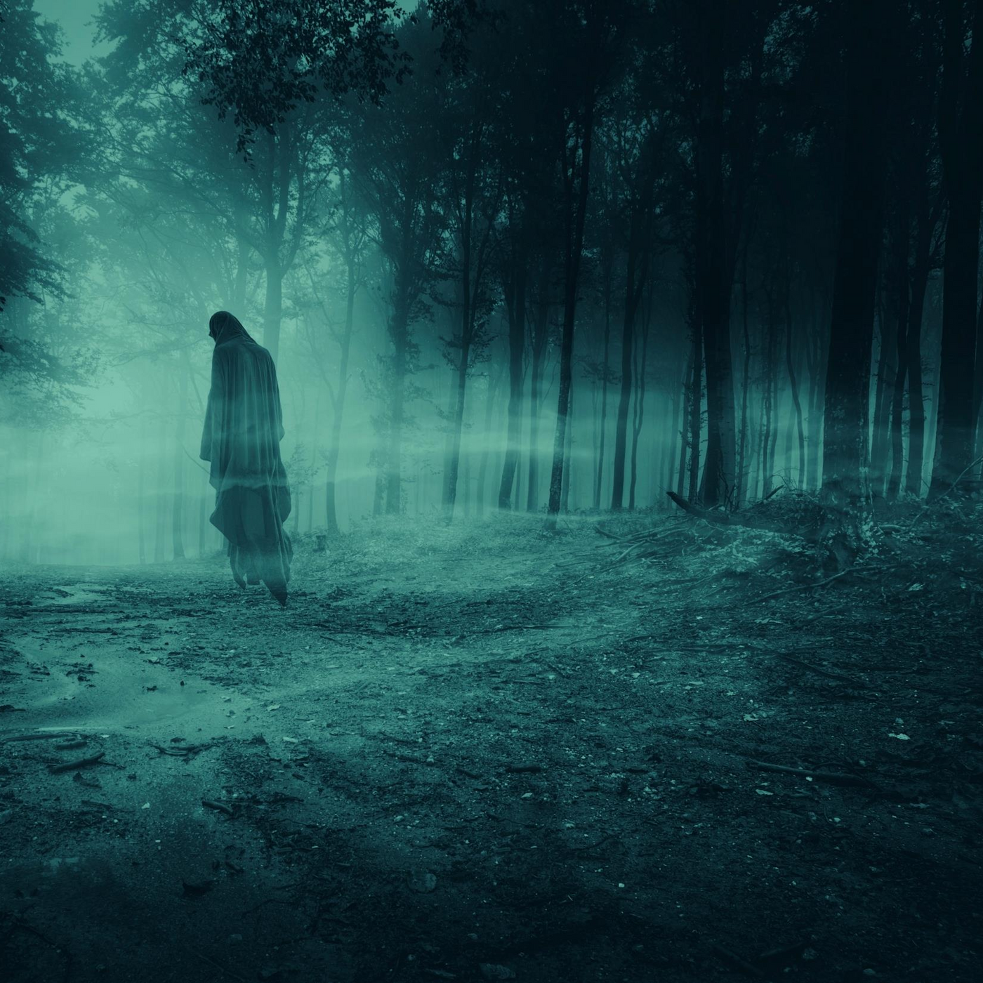 Frightful Forest Fragrance Oil