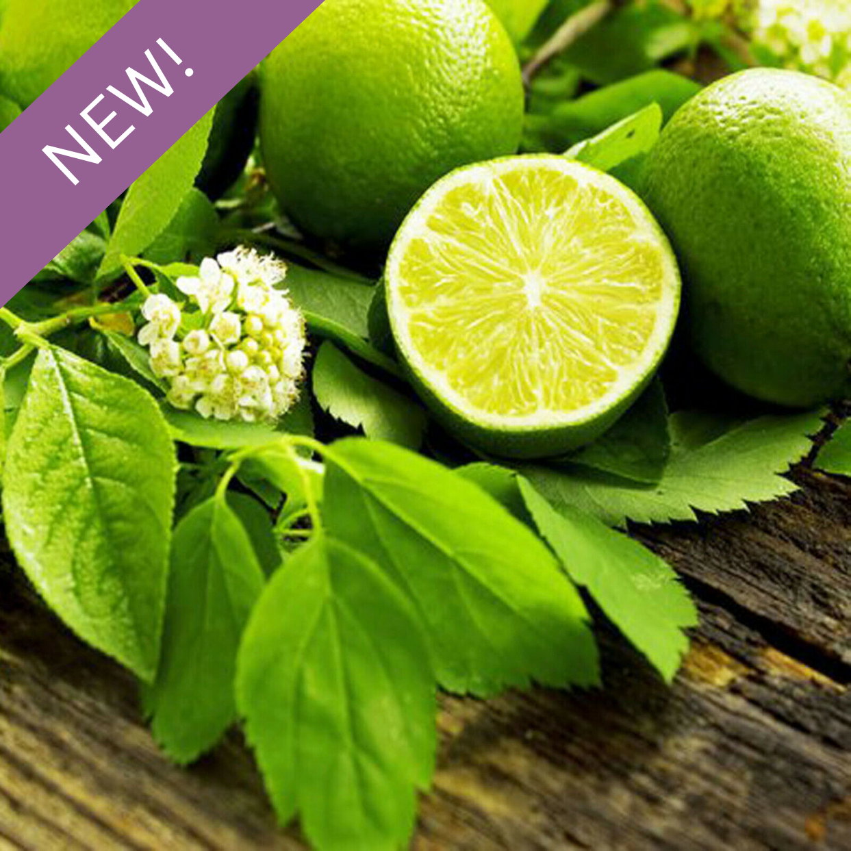 French Lime Blossom Fragrance Oil