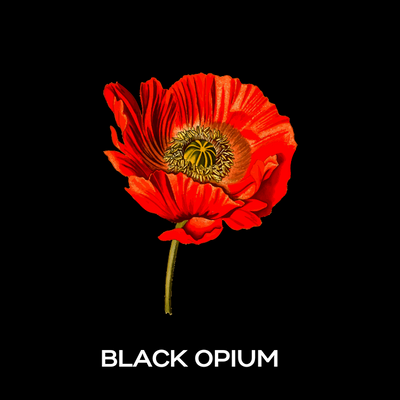 Black Opium Fragrance Oil (REED DIFFUSER FRIENDLY)