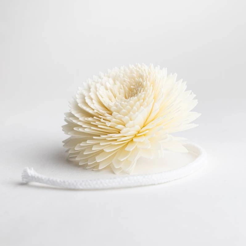 Flower Diffuser Reed - Chrysanthemum