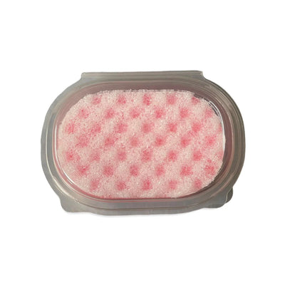 Soap Sponge Hinge Pack (Ridged Base)