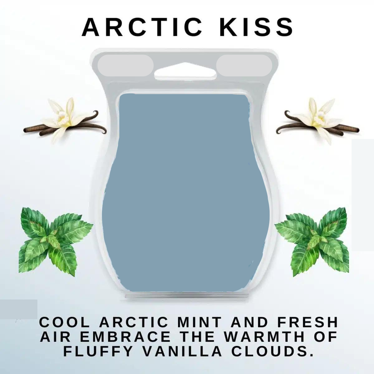 Arctic Kiss Fragrance Oil – Craftastik