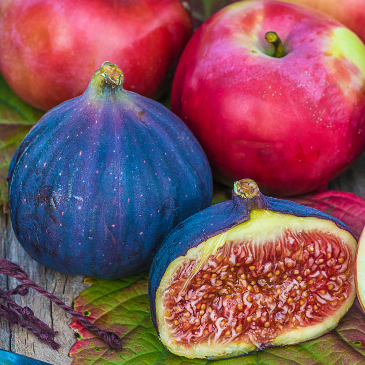 Apple & Fig YANK Fragrance Oil