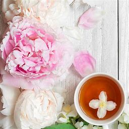 BBW Mad About You Fragrance Oil