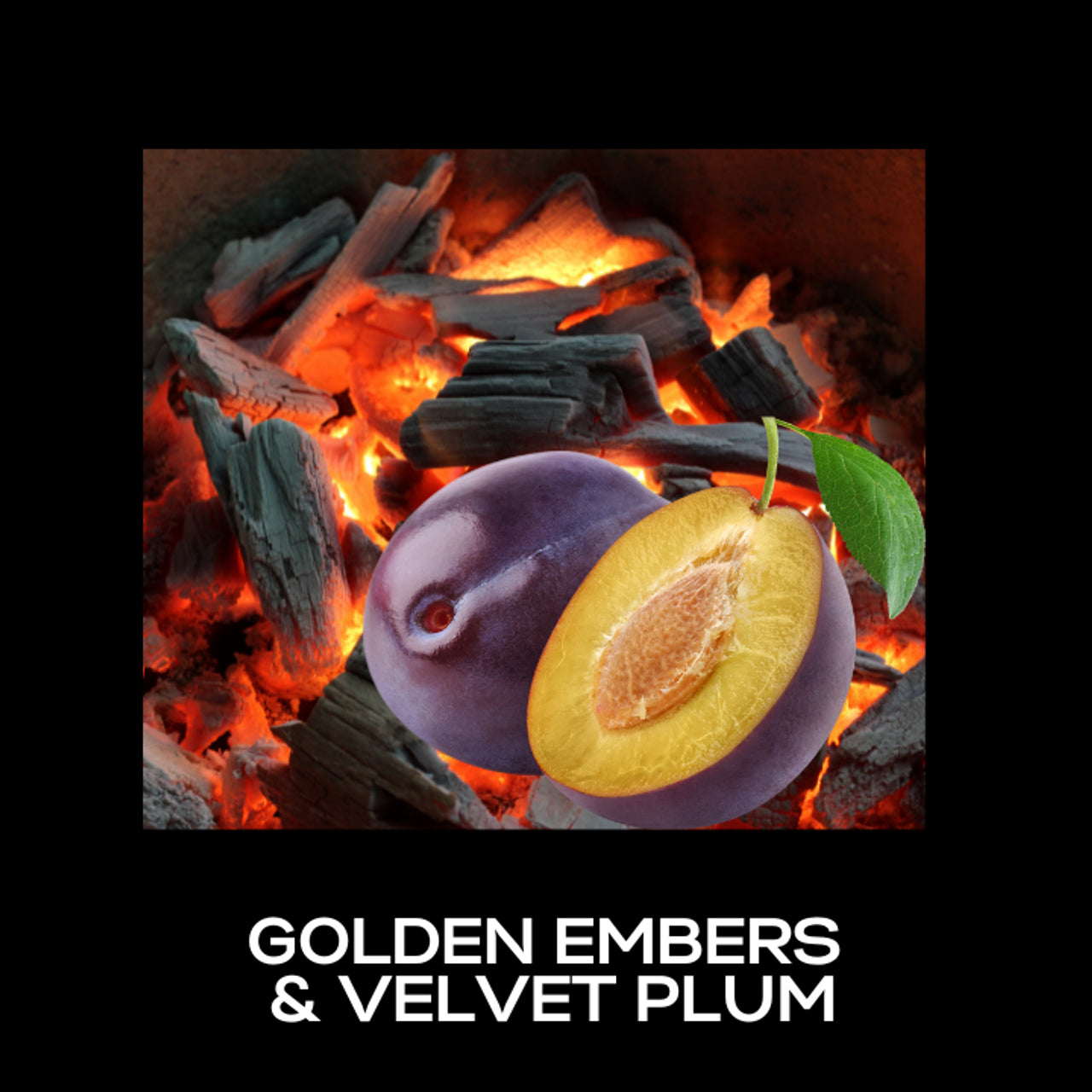 Golden Embers & Velvet Plum Fragrance Oil