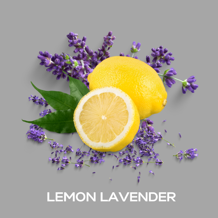 Lemon Lavender Fragrance Oil (DIFFUSER FRIENDLY)