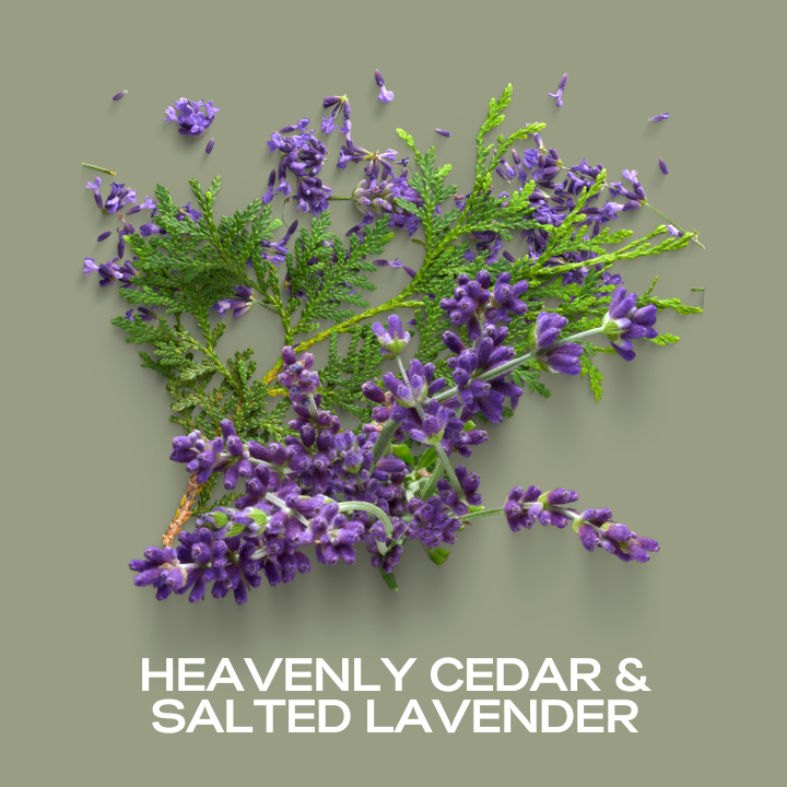 Heavenly Cedar & Salted Lavender Fragrance Oil