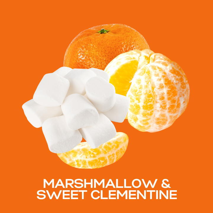 Marshmallow & Sweet Clementine Fragrance Oil