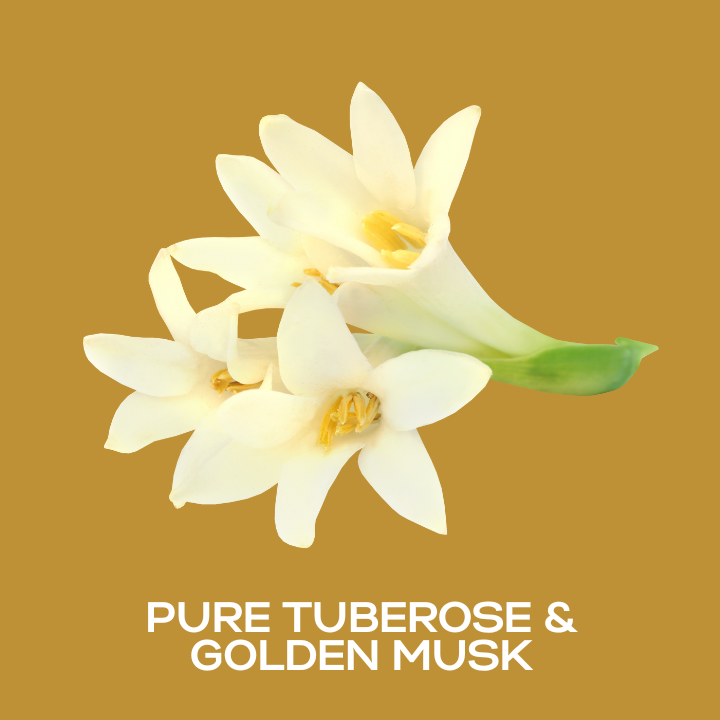 Pure Tuberose & Golden Musk Fragrance Oil