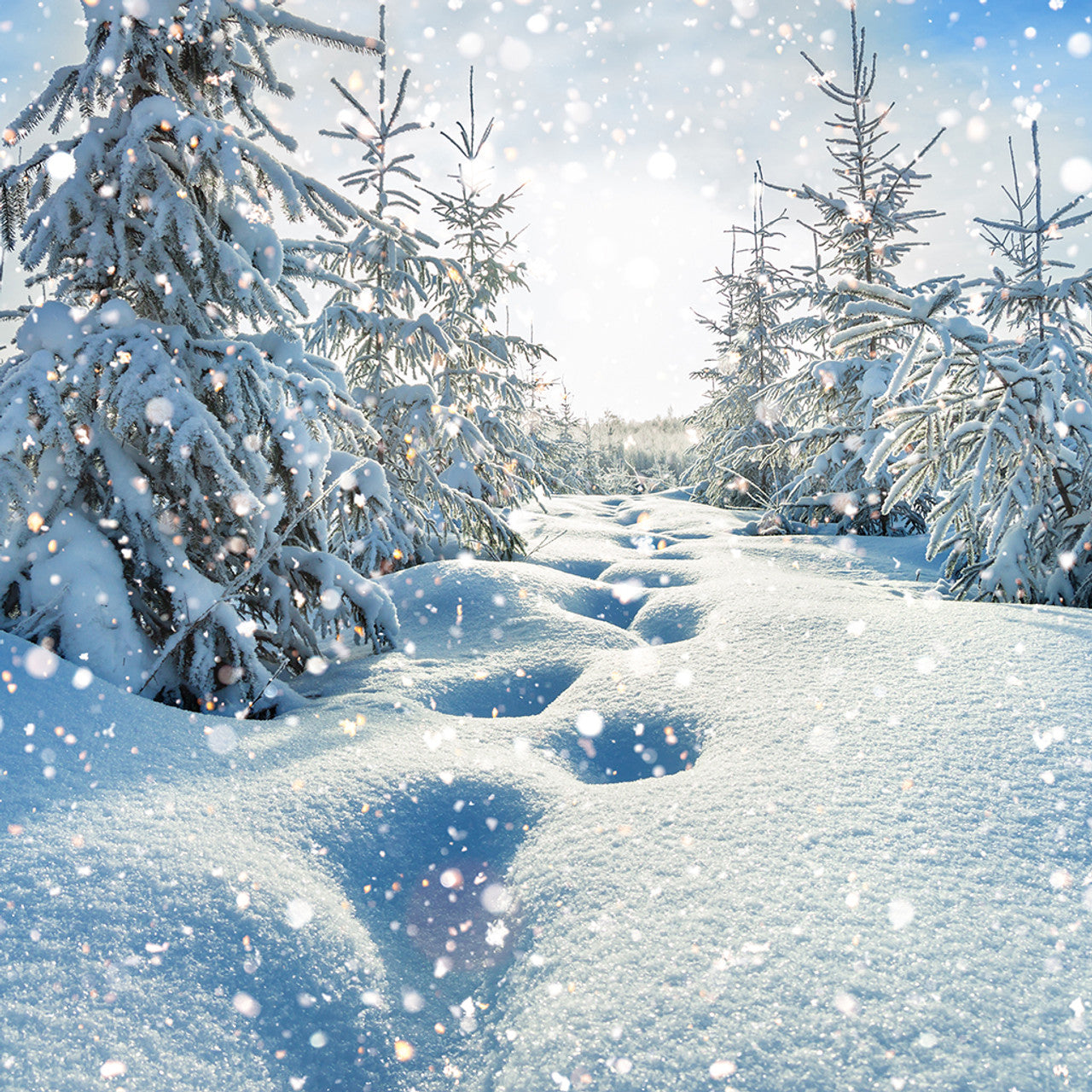 White Christmas Fragrance Oil (NEW REFORMULATED)