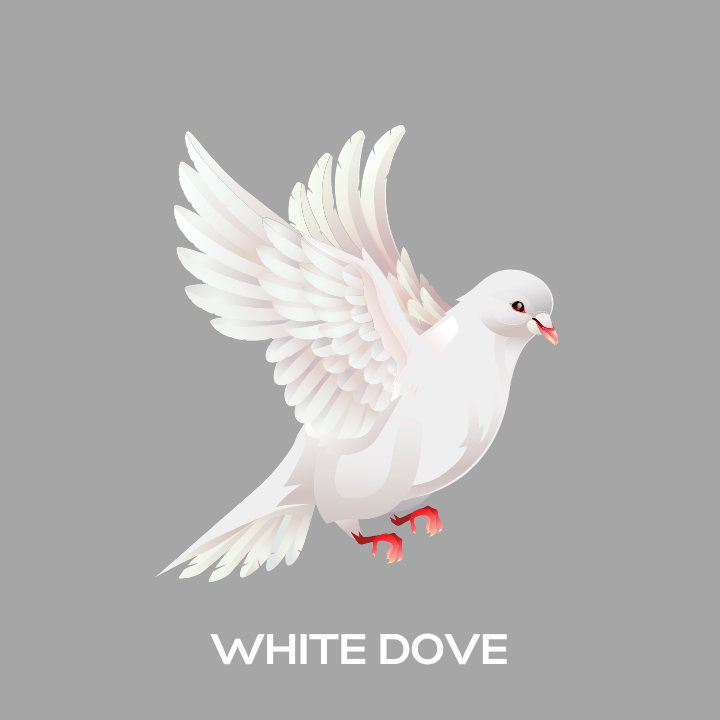 Dove Fragrance Oil