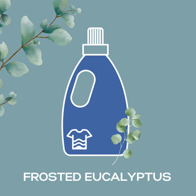 Frosted Eucalyptus Fragrance Oil