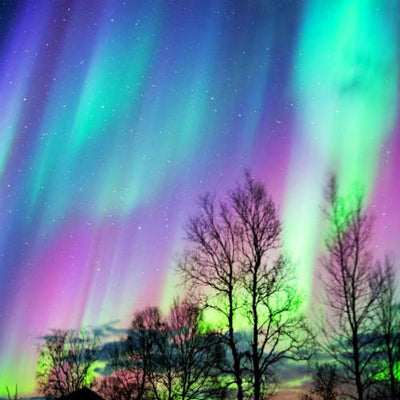 Northern Lights Fragrance Oil