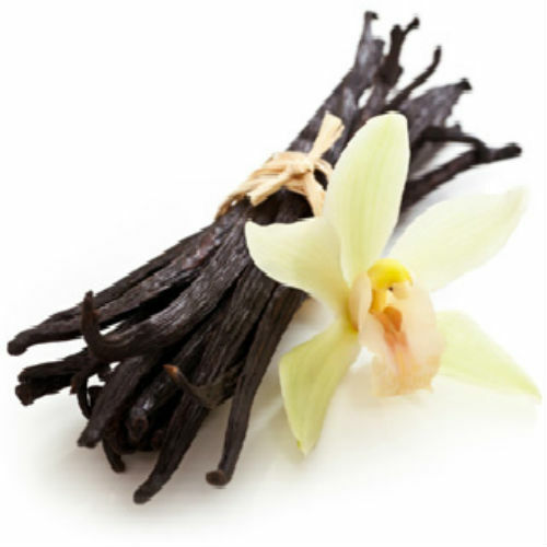 Vanilla Fragrance Oil