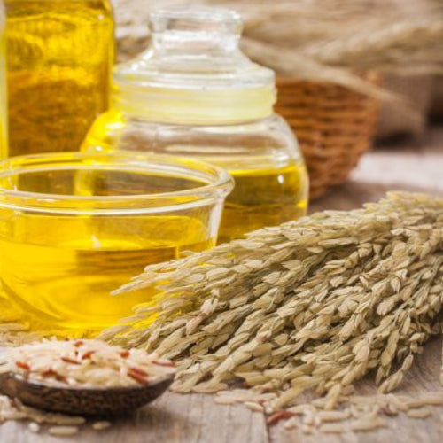 Rice Bran Oil - Refined