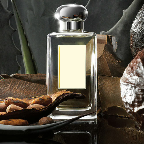 Blue Agava & Cacao Fragrance Oil