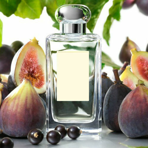 Wild Fig Cassis Fragrance Oil