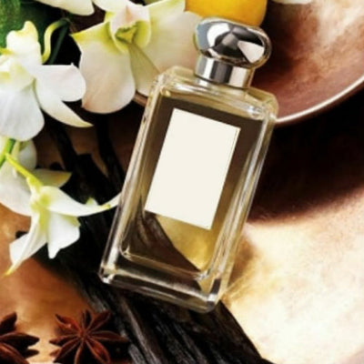 Vanilla & Anise Fragrance Oil