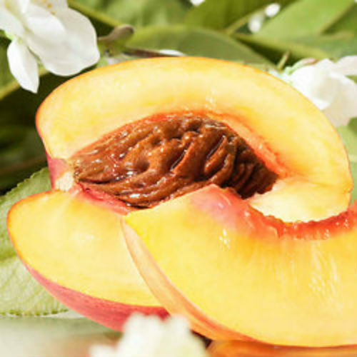 Nectarine Blossom and Honey Fragrance Oil