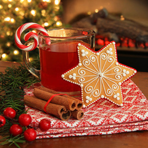 Christmas Memories Fragrance Oil