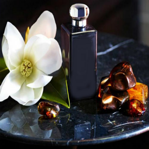 Dark Amber and Ginger Lily Fragrance Oil