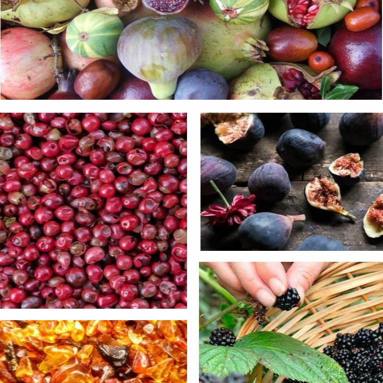 Brambled Berry Fragrance Oil