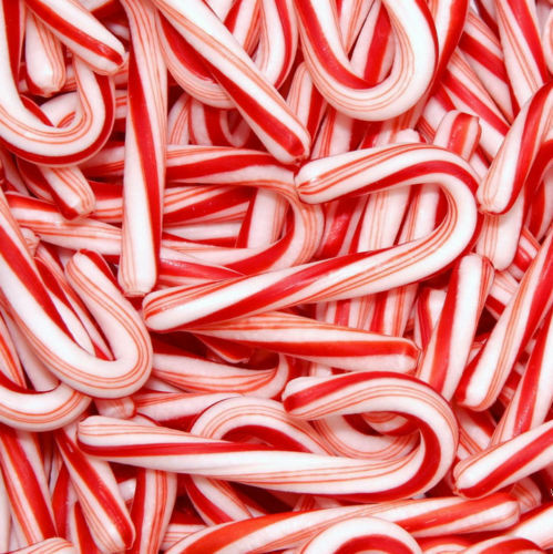 Candy Cane Fragrance Oil