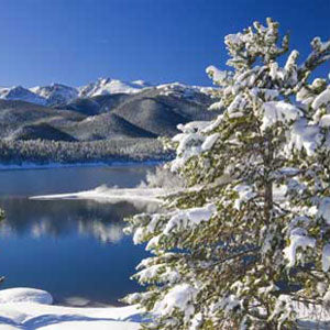 Aspen winter Fragrance Oil