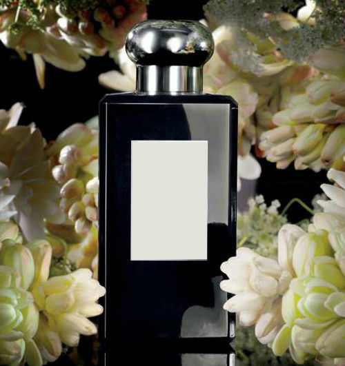 Tuberose Angelica Fragrance Oil