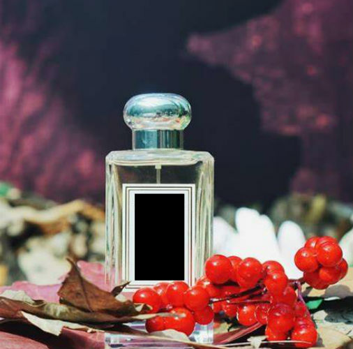 English Oak & Redcurrant Fragrance Oil