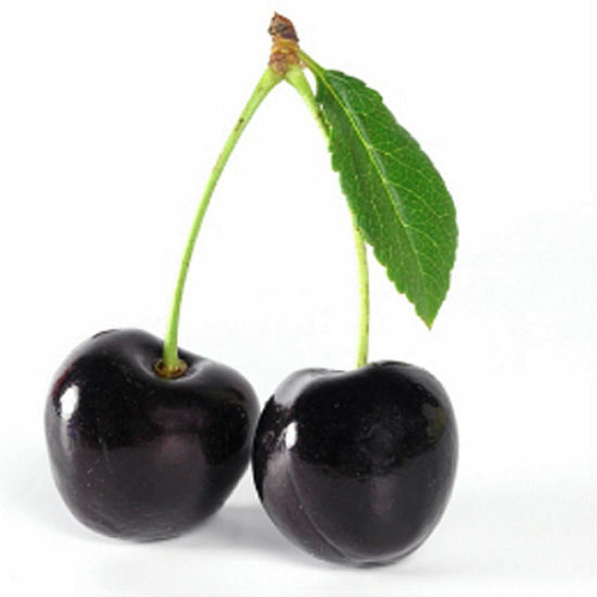 Black Cherry Fragrance Oil