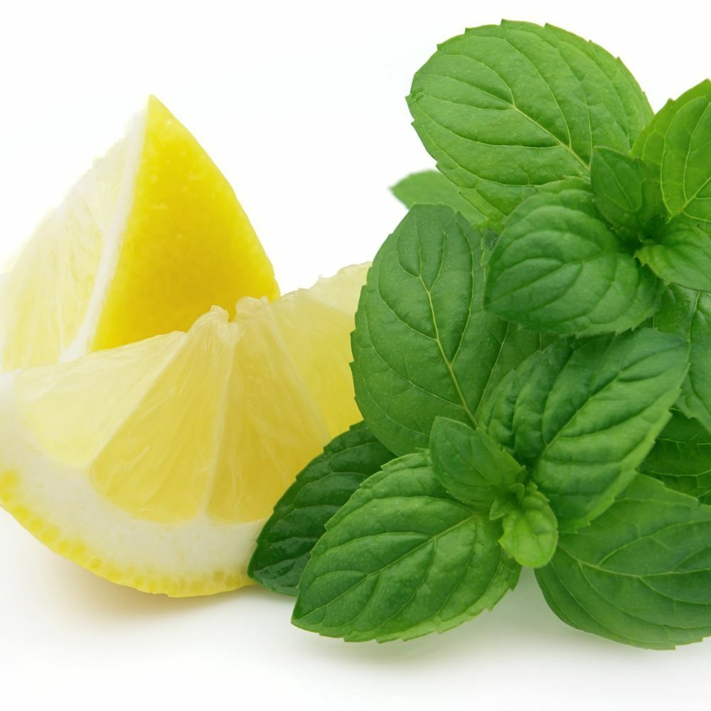 Lemon Mint Leaf Fragrance Oil