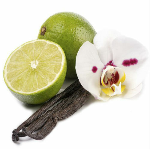 Vanilla Lime Fragrance Oil