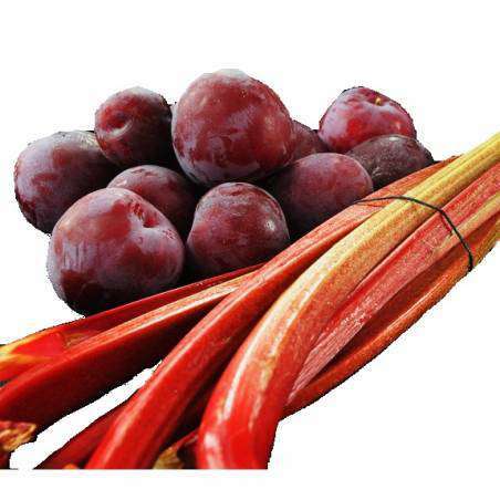 Black Plum & Rhubarb Fragrance Oil