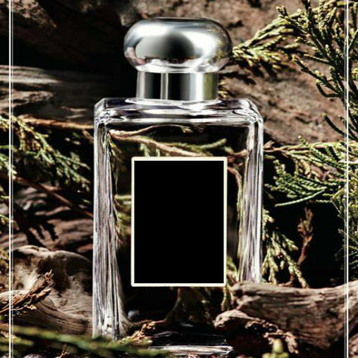 Black Cedarwood & Juniper Fragrance Oil