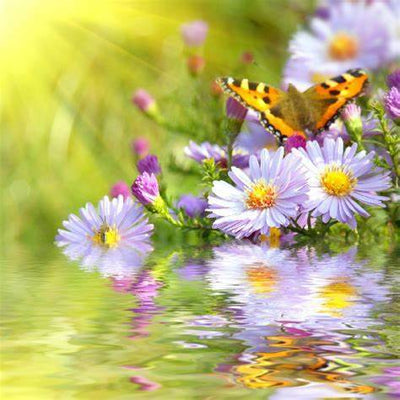 BBW Beautiful Day Fragrance Oil